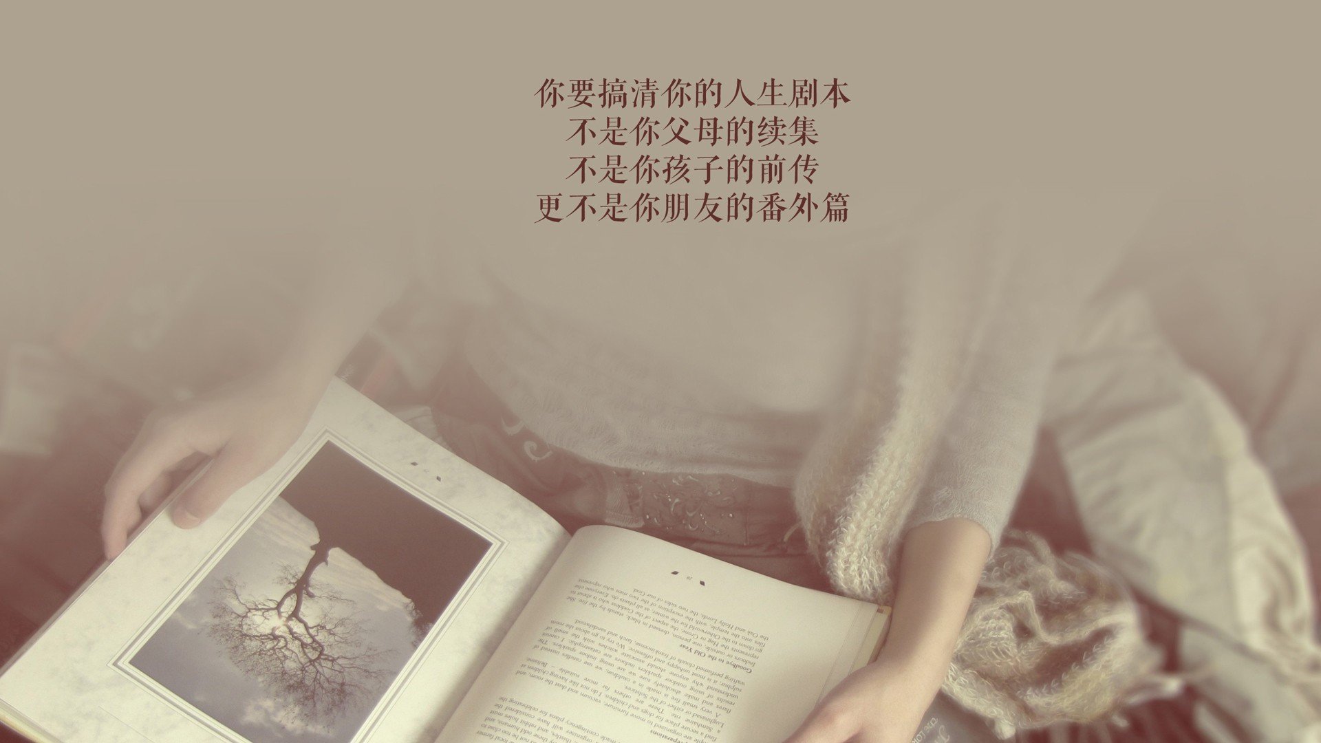 _奇才全队协作，稳扎稳打追求胜利_，奇才队队员名单