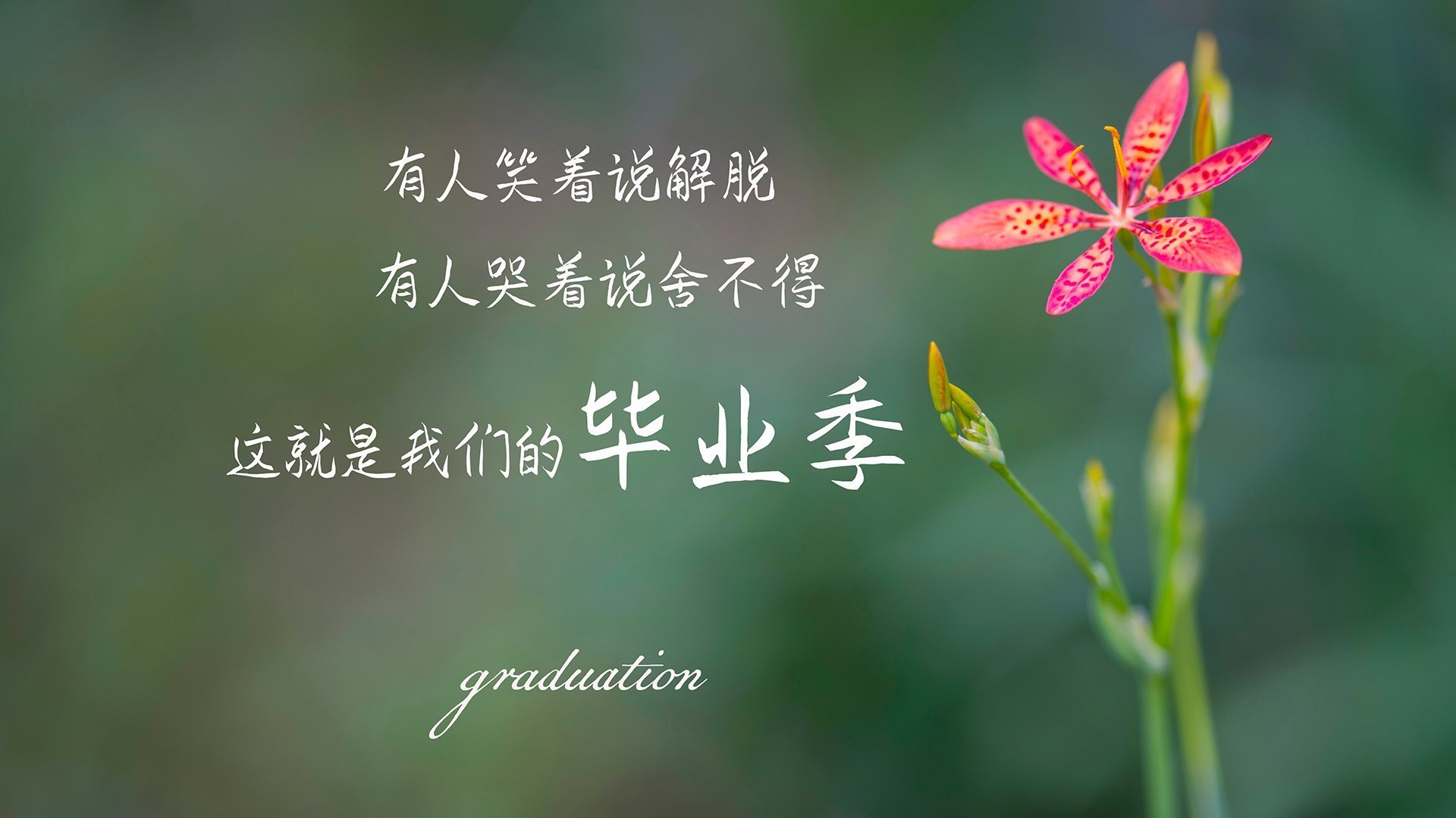 足球门将专项训练课程体系日益完善，足球门将成神培训班