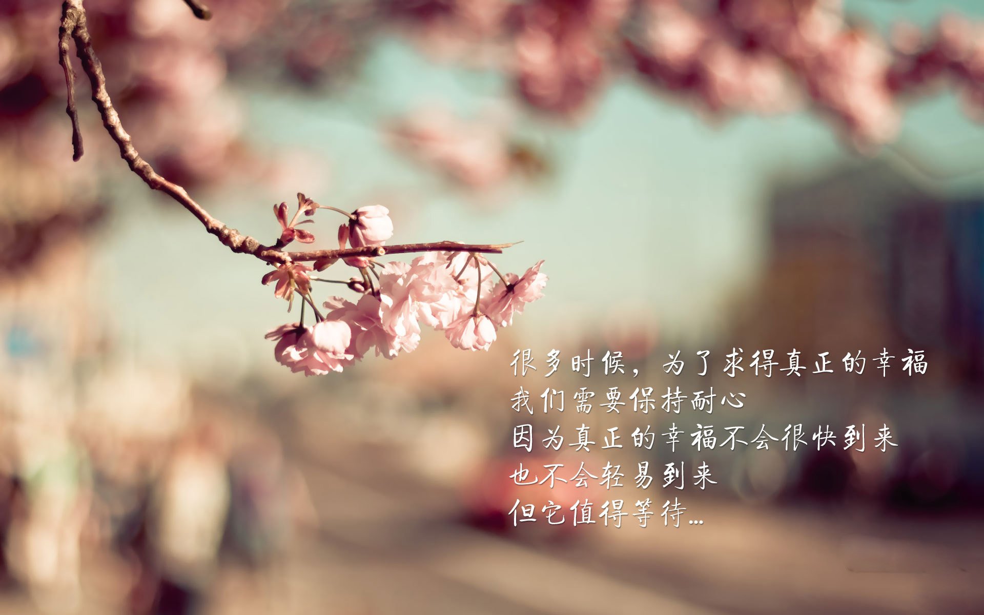北爱尔兰队客场战胜罗马尼亚，小组出线压力大增，欧国联北爱尔兰对罗马尼亚