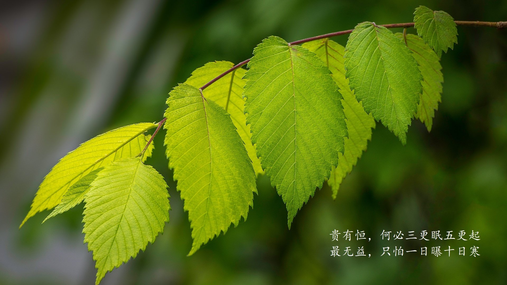 九游网页版官网入口-巴黎圣日耳曼再获胜利，欧冠夺冠热度直线上升！，巴黎圣日耳曼欧冠决赛对手