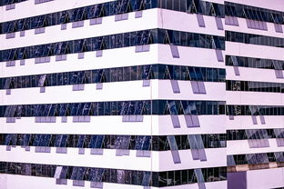 九游下载安装-中国篮球职业联赛青训体系建设与优化，中国青年篮球队