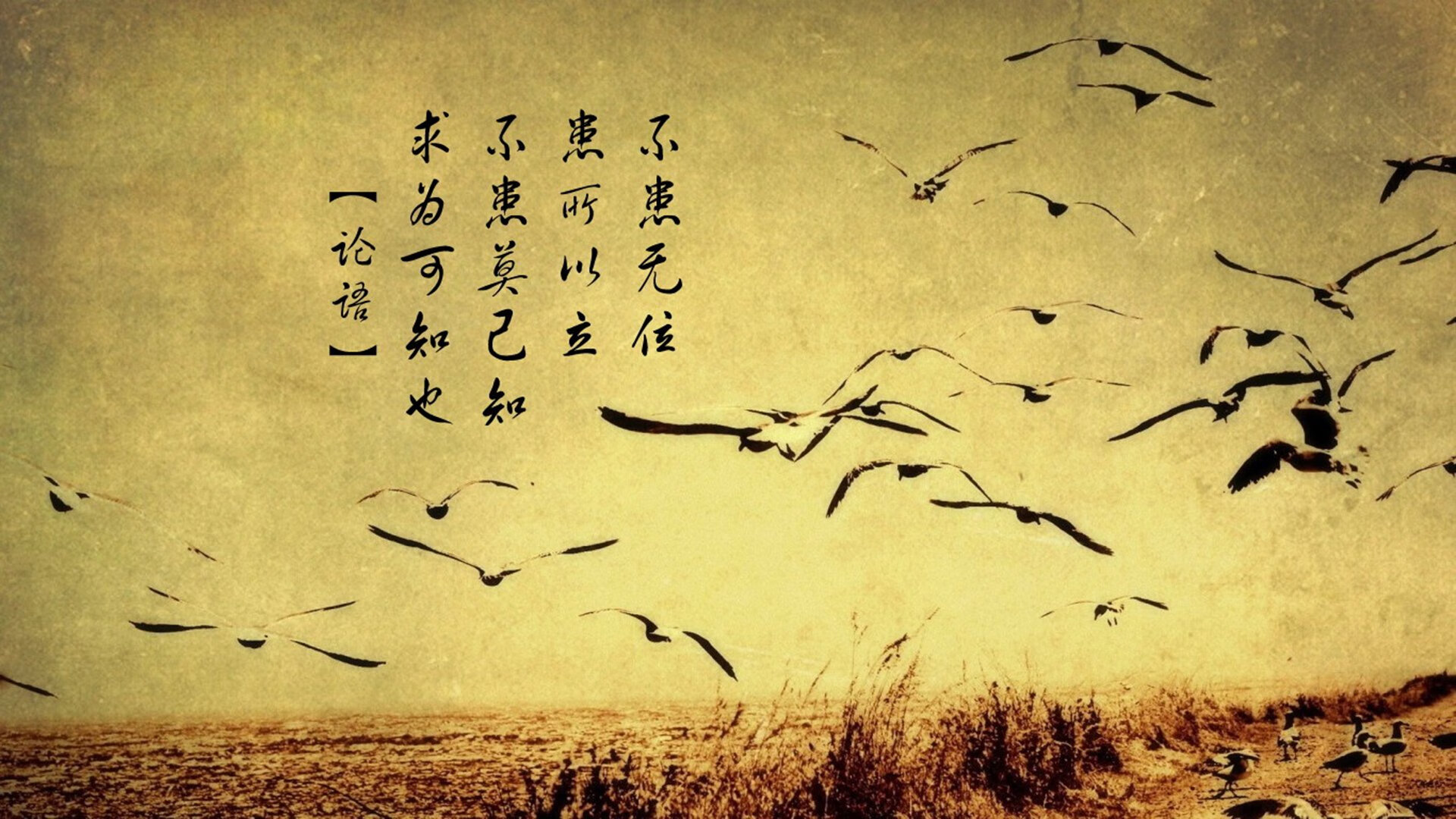 JIUYOU.COM-体育场馆数字化管理，体育场馆信息化