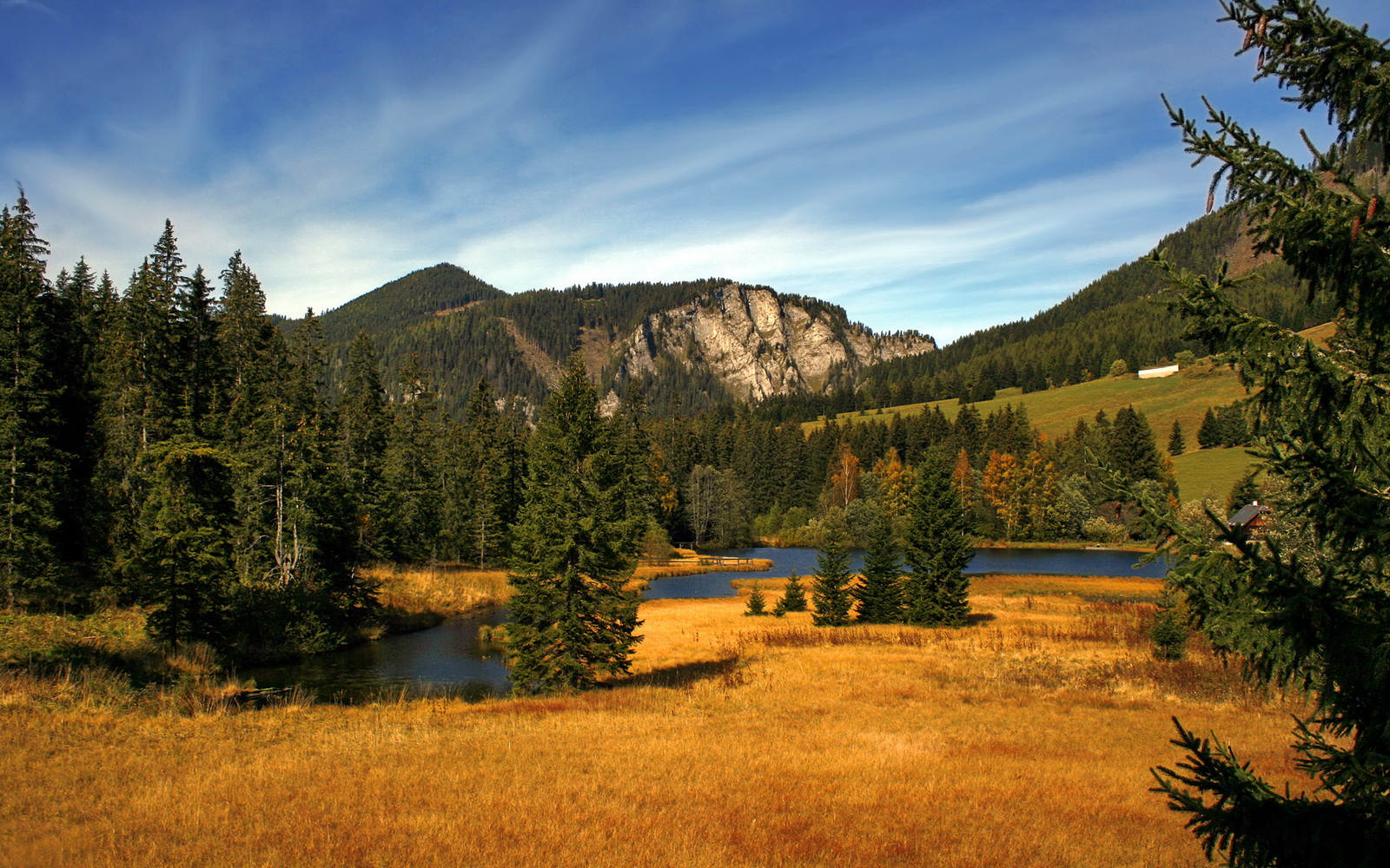 校园体育活动对学生归属感和团队精神的影响，学校体育对社会适应的作用
