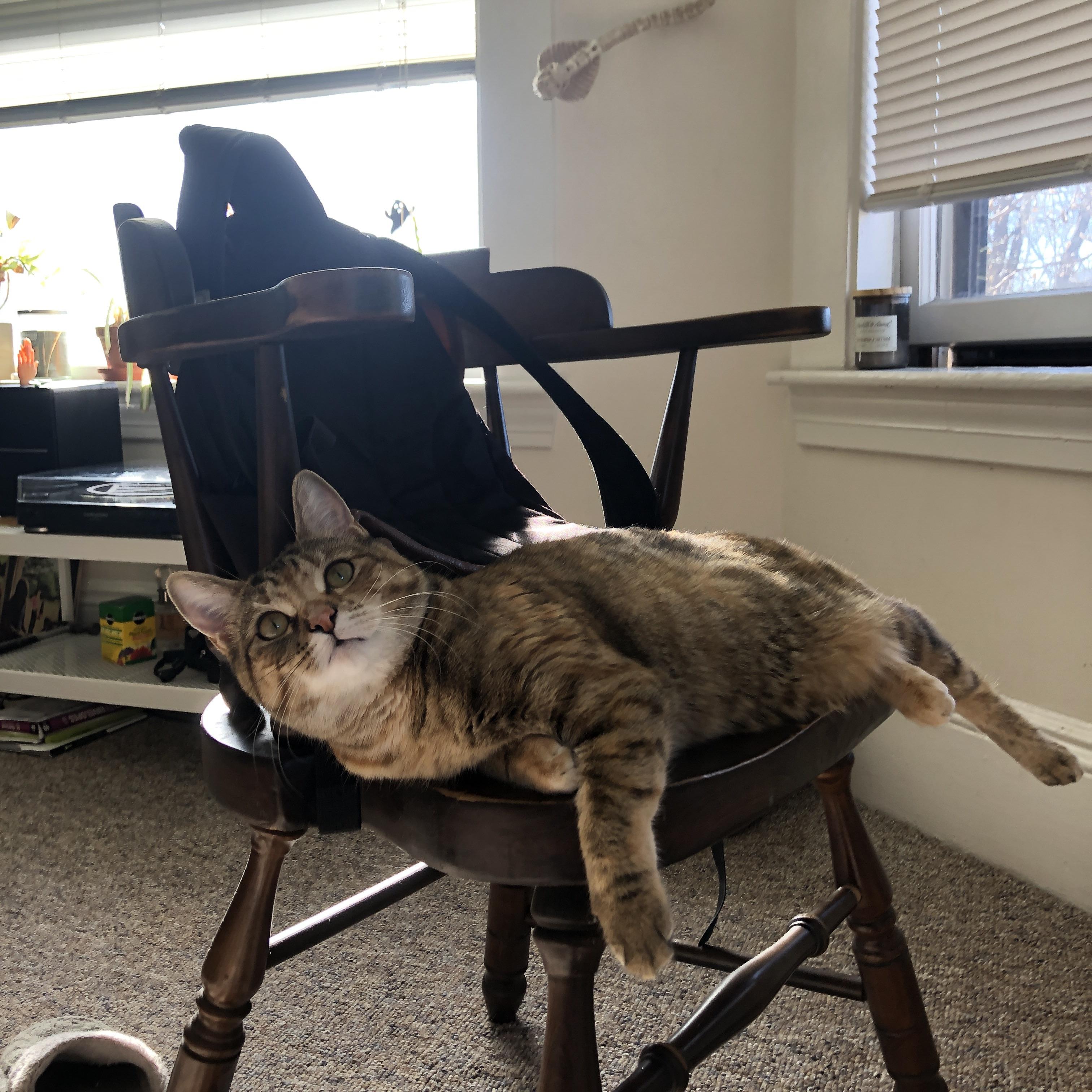 体育新闻中心推动体育视频内容版权保护技术升级,体育新闻片花