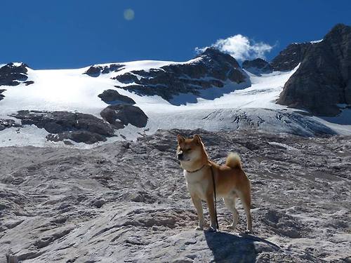职业球员体能与技术训练脱节,职业球员训练项目