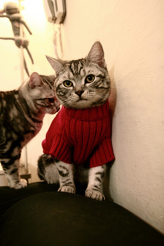 曼联后防核心因伤缺阵引发担忧，曼联最强后防线