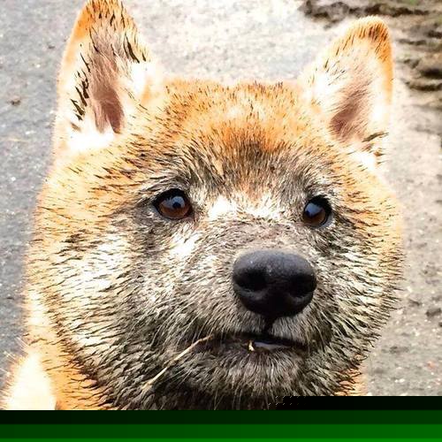 九游9游-英超攻防对决：激情碰撞之间展现极致实力，英超高对抗