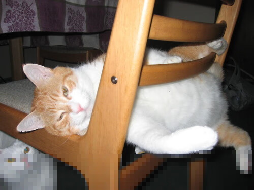 韩国男队自由泳爆发力惊人,韩国200米自由泳